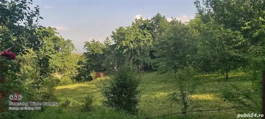 Teren de 1000 mp, în Călugareni