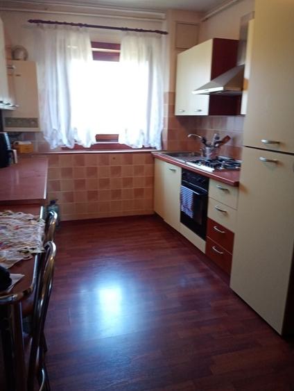 Apartament cu 2 camere semidecomandat în Gojdu