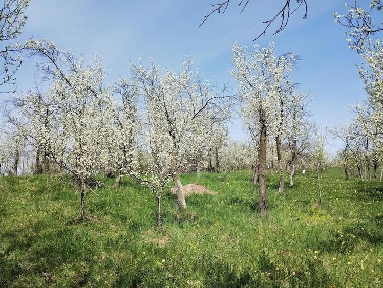 Teren de 1400 mp, în Gârbova