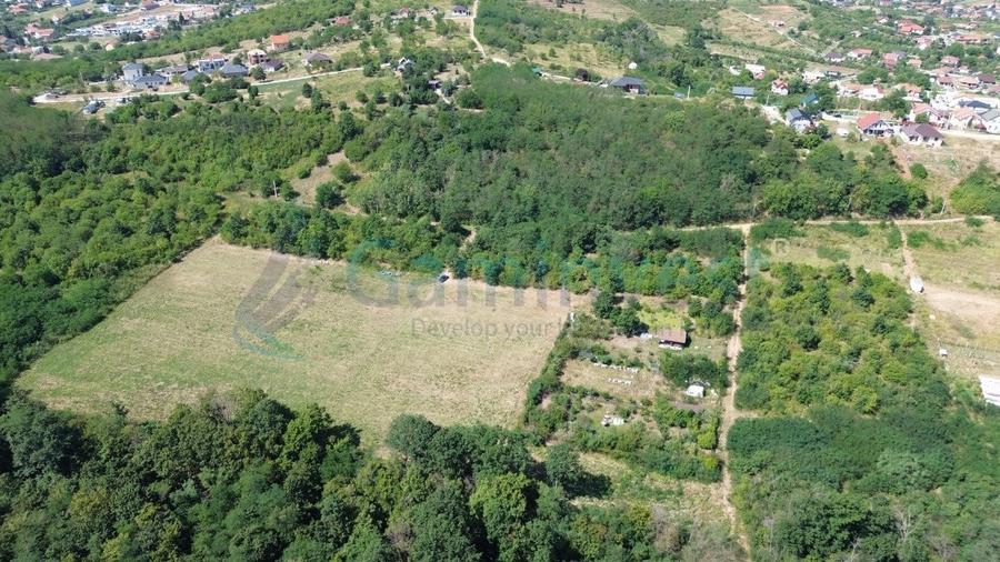 Teren Construcții intravilan de 1200 mp, în Paleu