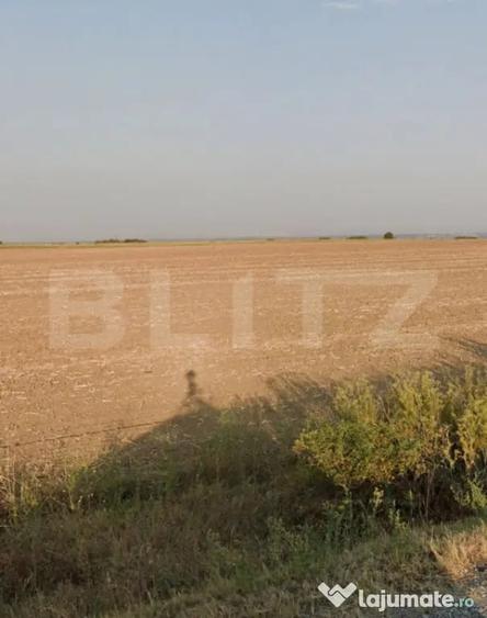 Teren de 22192 mp, în Cârcea