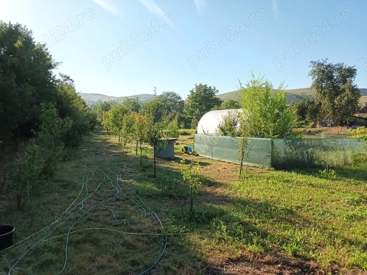 Teren de 4000 mp, în Central