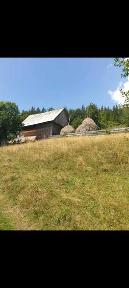 Teren de 60000 mp, în Vadu Moților