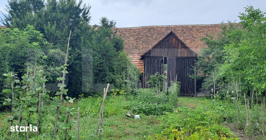Proprietate cu farmec rural in Beclean, aproape de Fagaras - Beclean - 3