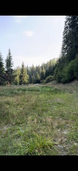 Spațiu comercial, în Pojorâta