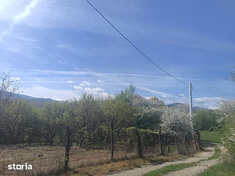 Teren de 554 mp, în Central