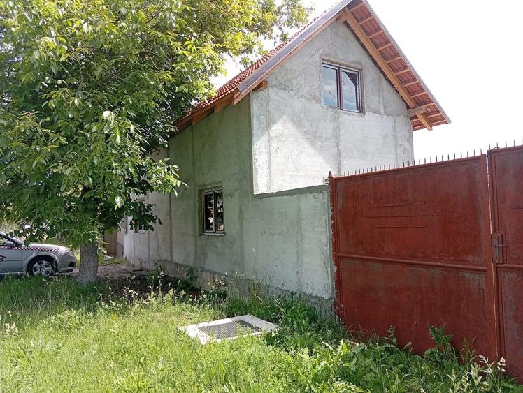 Casă cu 2 camere în Bârsa
