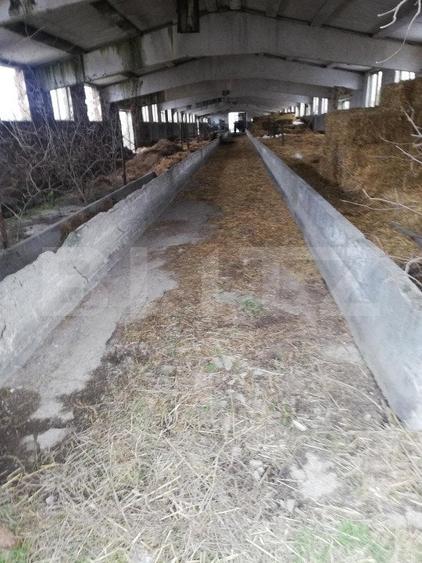 Teren Construcții extravilan de 63704 mp, în Exterior Nord