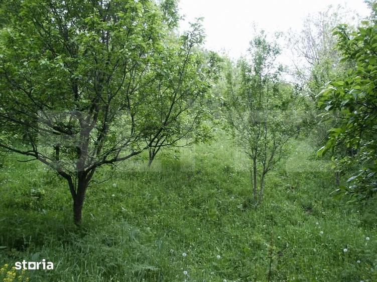 Teren de 884 mp, în Runcu