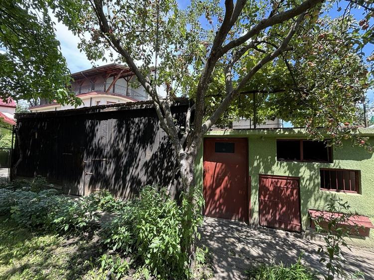 Casă individuală de vânzare în Turnișor | Curte superbă 585 mp - 22