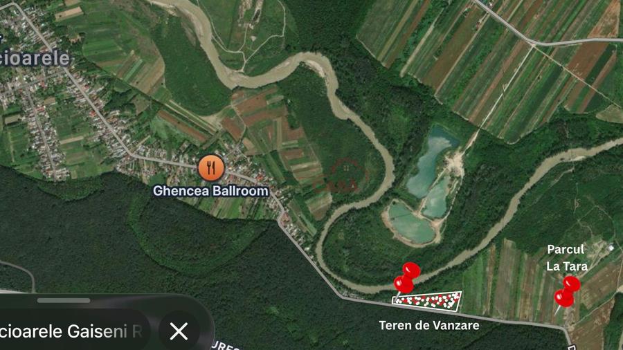 Teren agricol intravilan de 9400 mp, în Căscioarele (Găiseni)