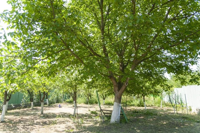 Casă individuală cu 9 camere cu Canalizare în Pleșești (Berca)