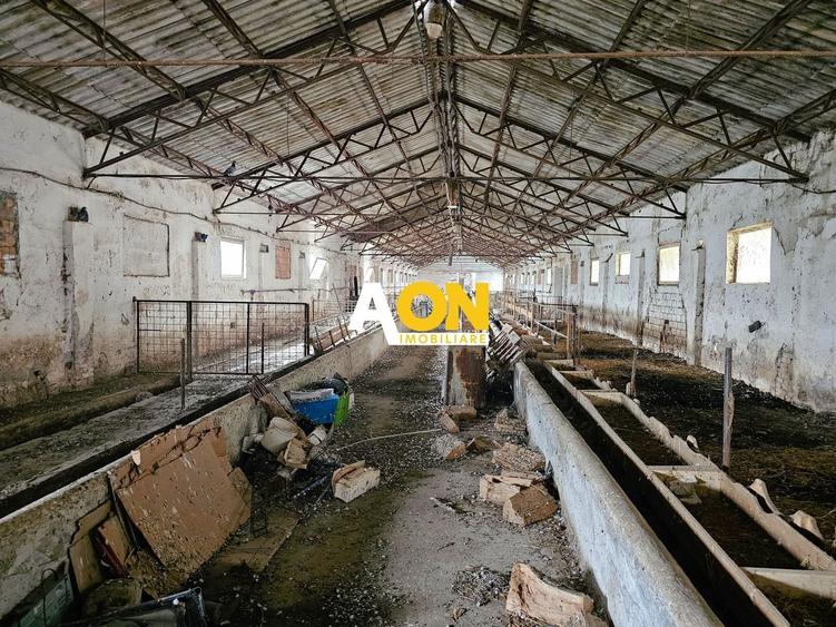 Spațiu industrial, de 1,400 mp, în Lunca Mureșului