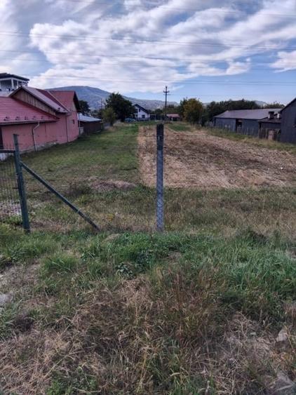 Teren Construcții intravilan de 2600 mp, în Livezile