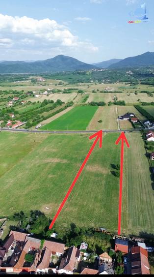 Teren agricol intravilan de 9900 mp, în Tohanu Nou