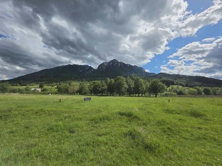 Teren de 440 mp, în Plaiul Foii