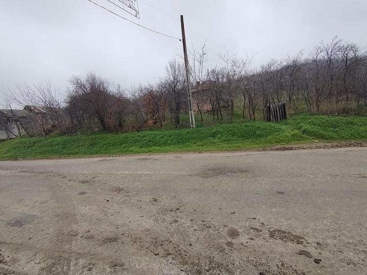 Teren Construcții intravilan de 2000 mp, în Brestei