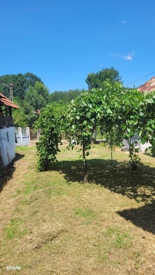 Teren de 1900 mp, în Afânata