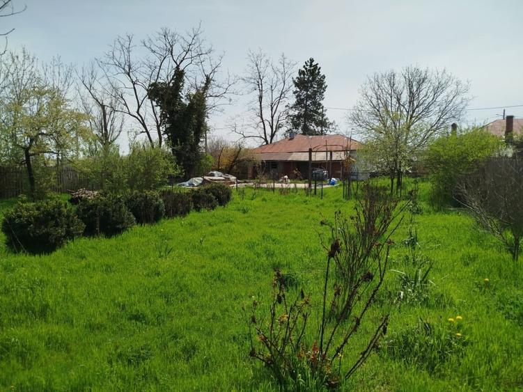 Casă individuală cu 5 camere cu Teren 1450 Mp în Goleasca