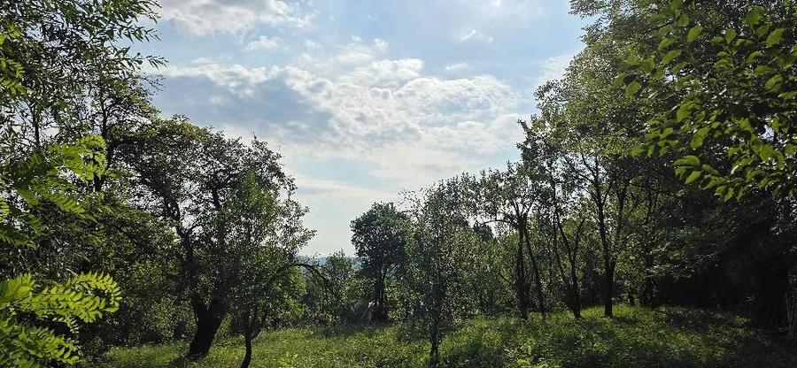 Teren de 2000 mp, în Talea