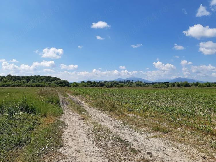 Teren de 20300 mp, în Prejmer