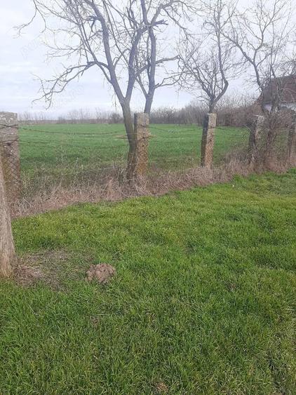 Teren de 3700 mp, în Obad
