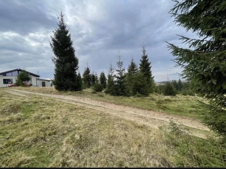 Teren de 2300 mp, în Beliș