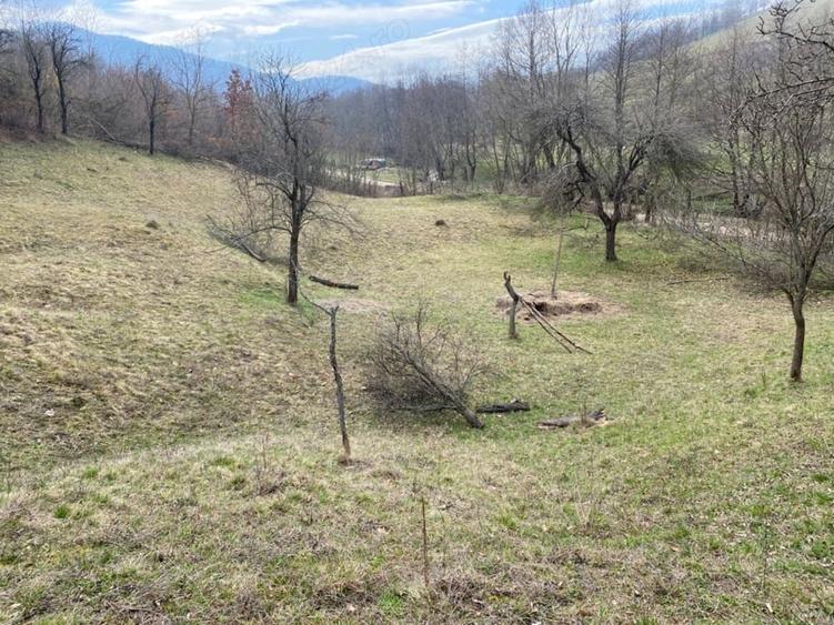 Teren de 4700 mp, în Romos
