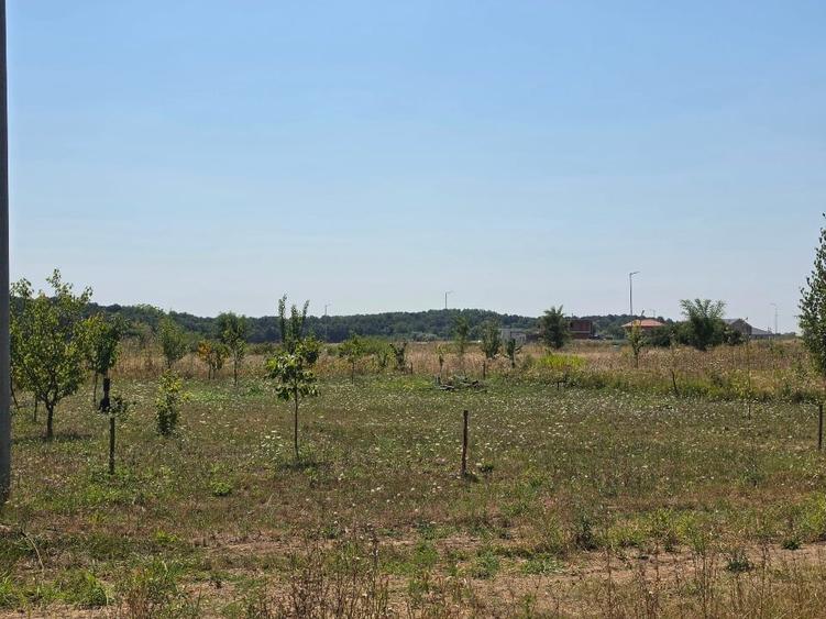 Teren Construcții intravilan de 605 mp, în Ghiroda