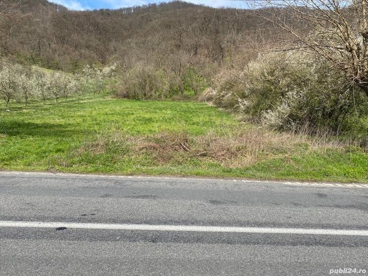 Teren de 4850 mp, în Liborajdea