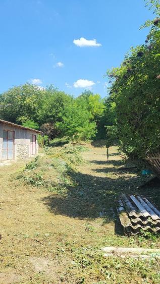 Casă cu 2 camere în Rapolțel