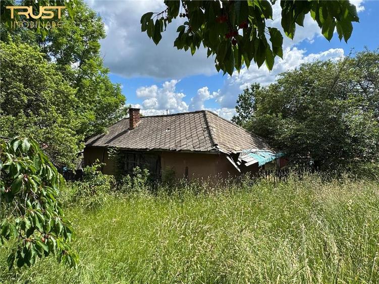 Casă cu 4 camere cu Teren 3135 Mp în Dângău Mare