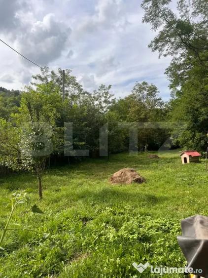 Casă cu 4 camere cu Teren 1809 Mp în Ocoliș