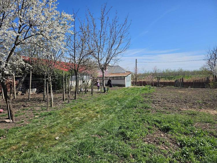 Casă cu 4 camere în Fulga