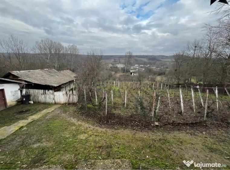 Casă individuală cu 3 camere cu Canalizare în Brabova