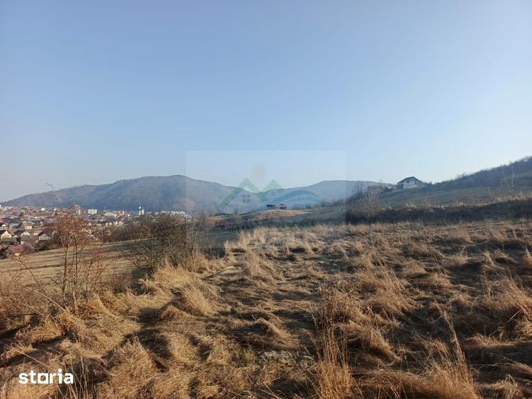 Teren de 3000 mp, în Curtești