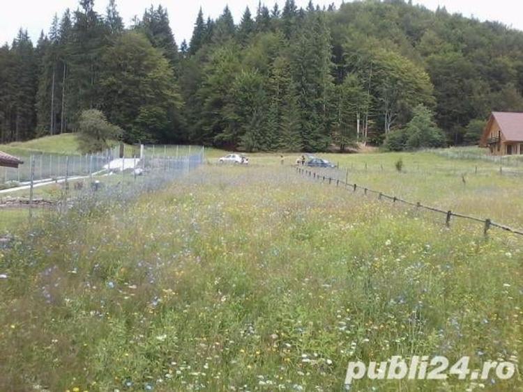 Teren de 1000 mp, în Cheia