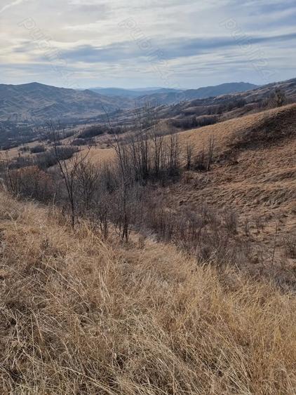 Teren de 25000 mp, în Vintilă Vodă