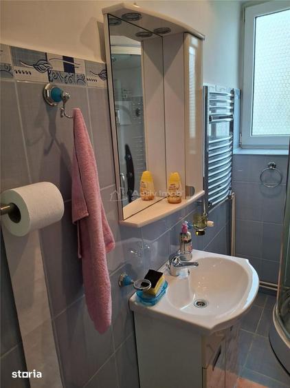 Apartament cu 2 camere decomandat în Luncă