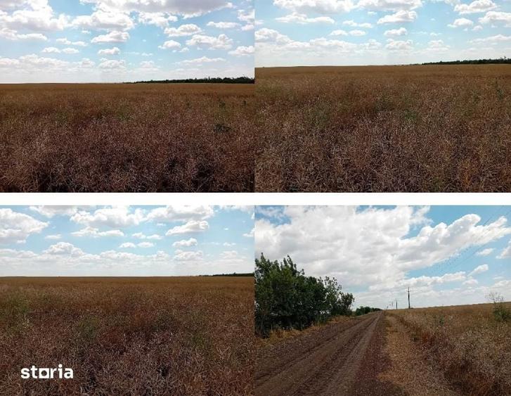 Teren de 7500 mp, în Salcia