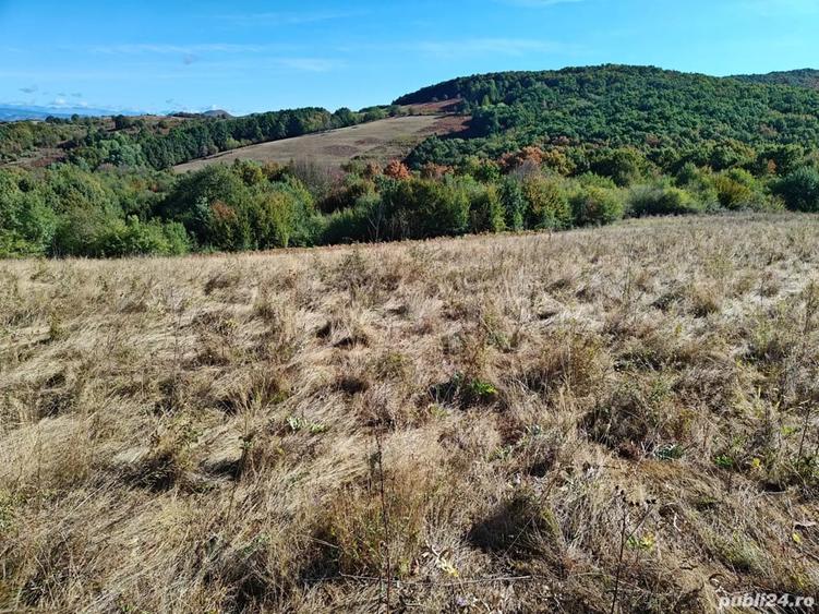 Teren de 35400 mp, în Balta