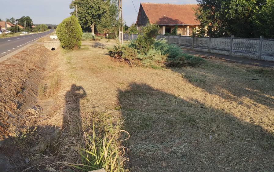 Casă cu 4 camere cu Teren 6153 Mp în Sinersig