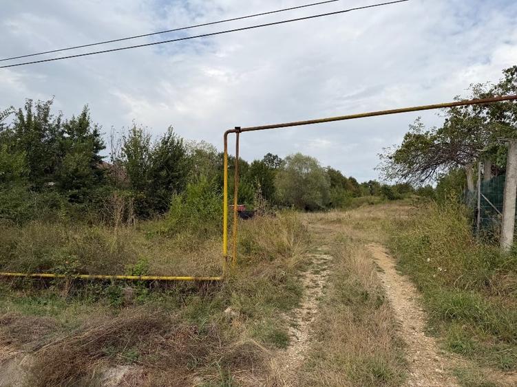 Teren Construcții intravilan de 4000 mp, în Rasova