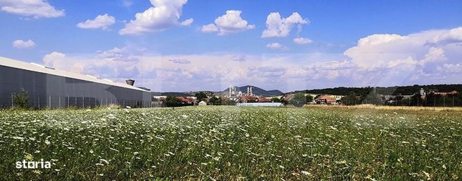 Casă cu 4 camere cu Teren 15277 Mp în Central