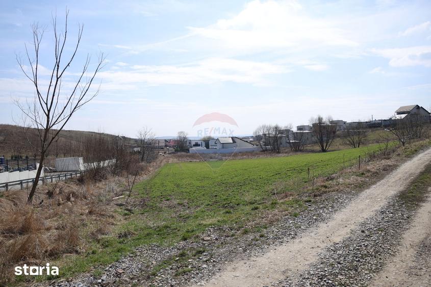 Teren de 3500 mp, în Moara
