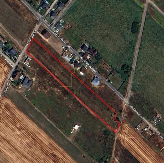 Teren Construcții intravilan de 5539 mp, în Săbăreni