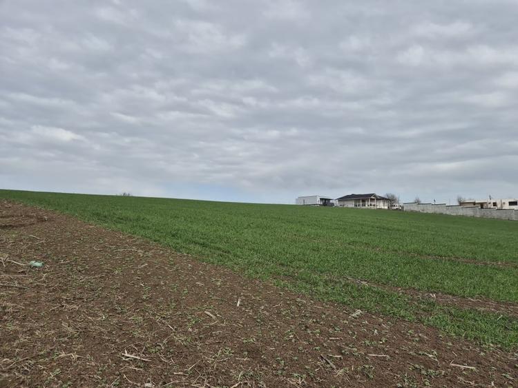 Teren Construcții intravilan de 2500 mp, în Izvorani