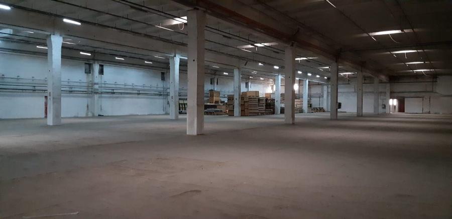 Spațiu industrial, de 12,000 mp, în Depozite
