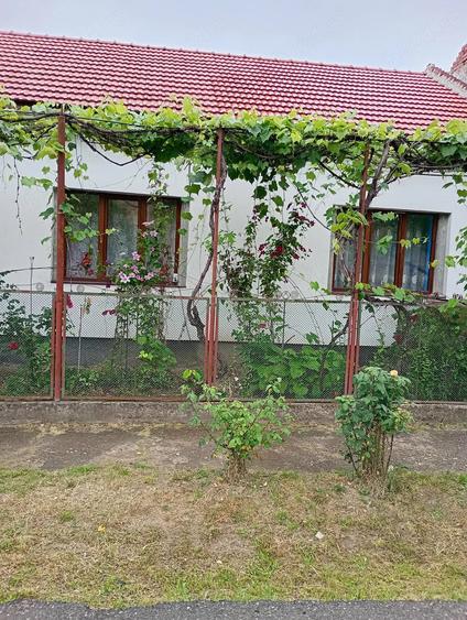 Casă cu 2 camere cu Teren 2300 Mp în Criciova