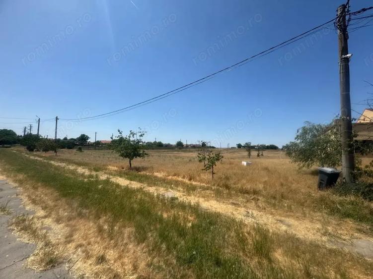 Teren de 90000 mp, în Bara